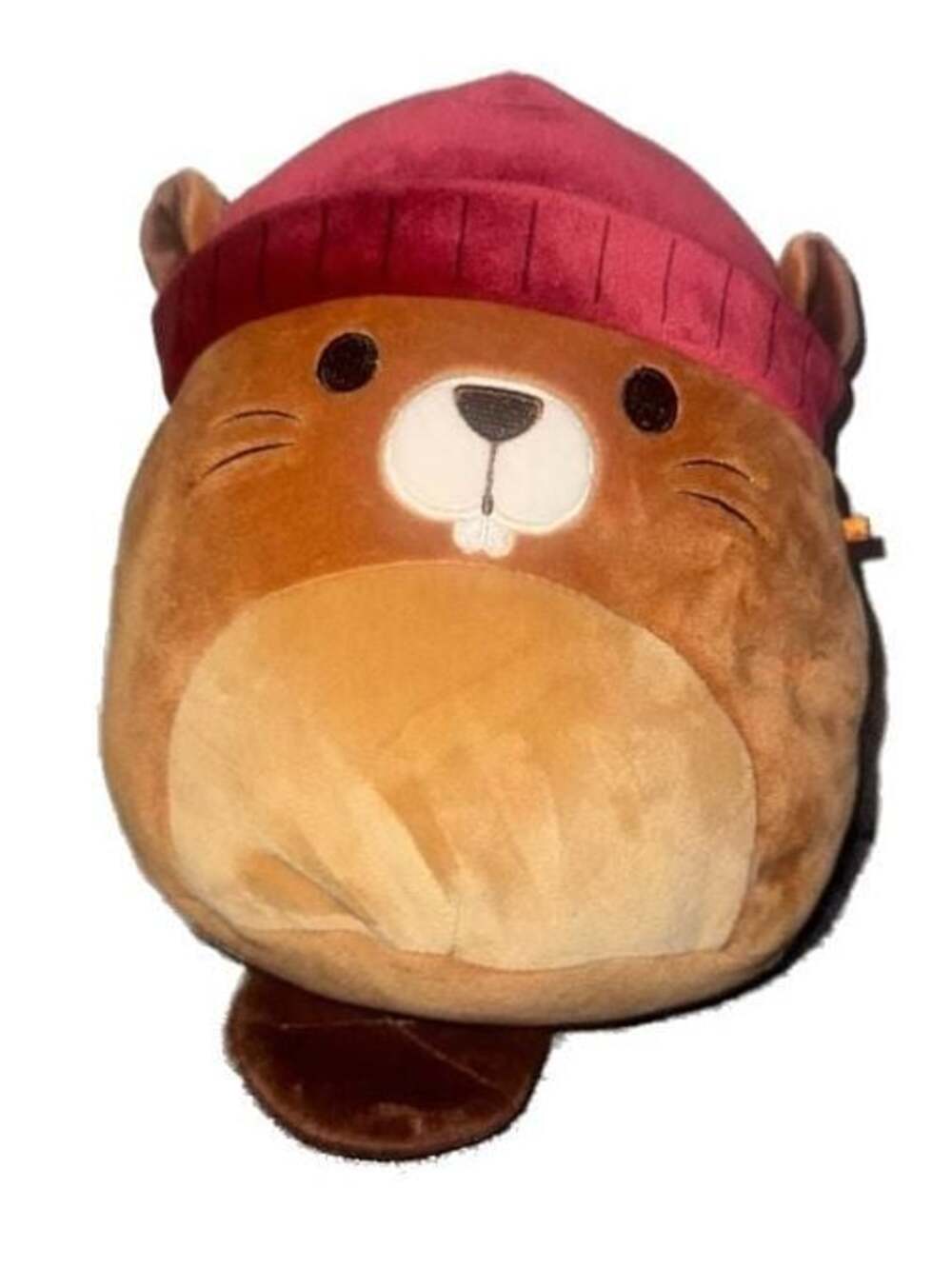Squishmallows Chip the Beaver 8 inch Plush with Red Beanie Hat
